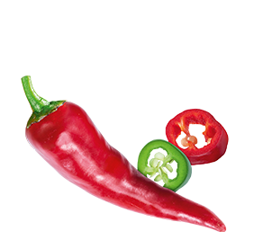 Appetizer Chili 2 ohne Schatten