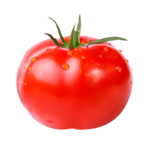 Tomaten