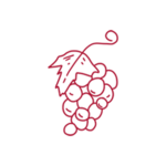 Weintrauben