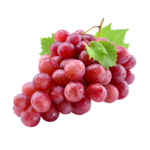 Weintrauben