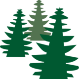 Baum