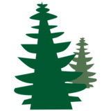 baum1