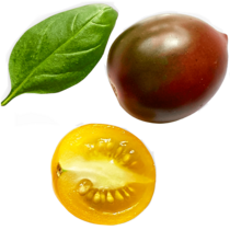 tomaten Handl Tyrol