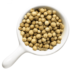 18 Korianderschale Handl Tyrol