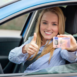 Führerschein Handl Tyrol