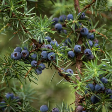 AdobeStock_362129011